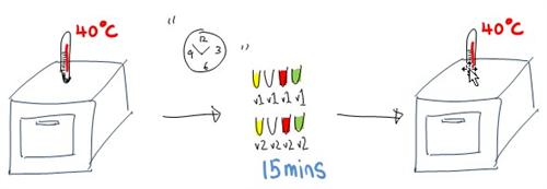 bacteria and extreme temperatures science experiment