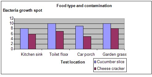 wet and dry food science project