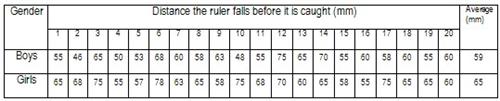 ruler drop test science project