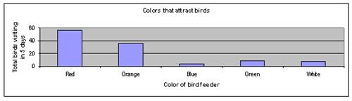 Bird vision science fair project