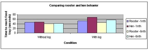 Rooster aggressiveness science fair project