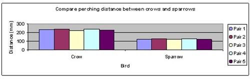 Bird perching distance science project