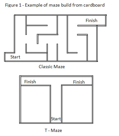 white mice maze science fair project