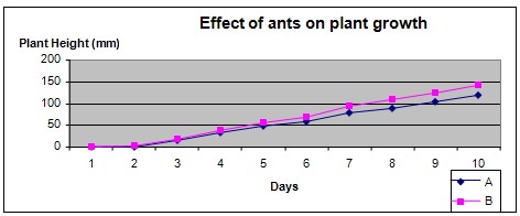 Ants and soil science fair project