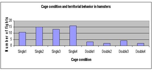 hamsters science fair project