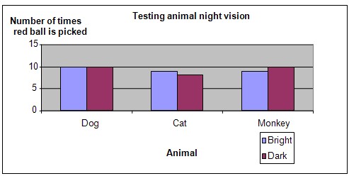 animal vision science fair project