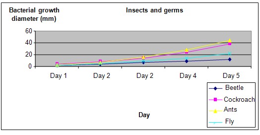 insects germs science fair project