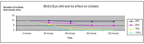 bird's eye chilli science project