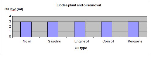 elodea science fair project