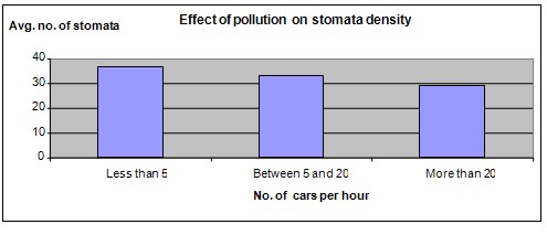 plant stomata science fair project