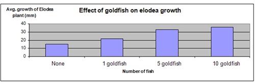 Elodea and Goldfish Science Fair Project