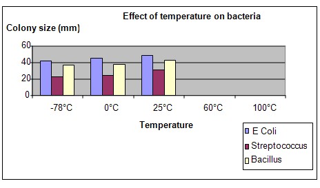 bacteria and temperature science project