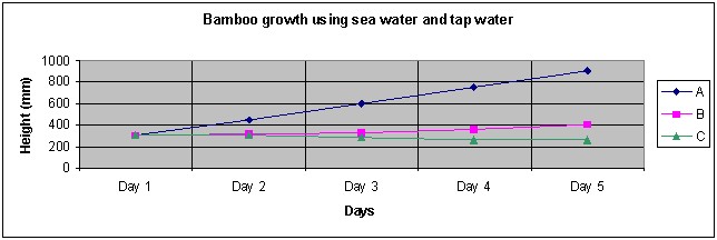 bamboo growth statistics