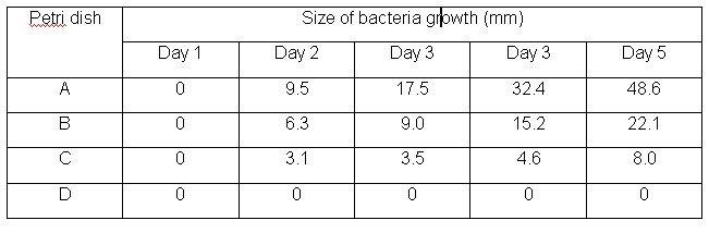 rate of bacteria growth