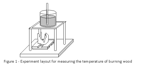 wood combustion science project