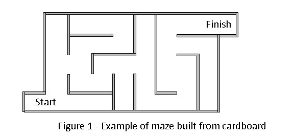 animal intelligence experiment