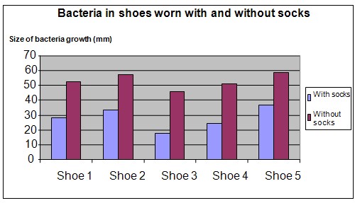 bacteria and sweat science fair project