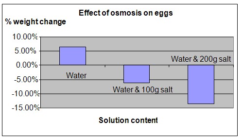 Osmosis in Eggs science project