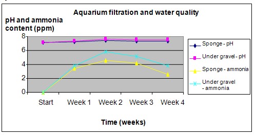 aquarium filtration science fair project