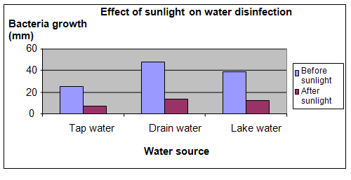 sunlight and bacteria growth science project