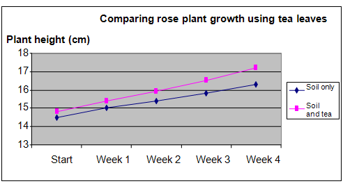 tea leaves and plant growth experiment