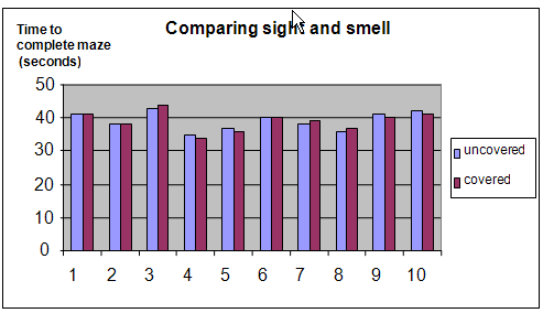 mice eyesight science experiment