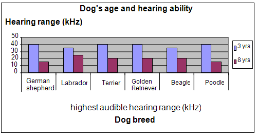 dog age and hearing ability experiment