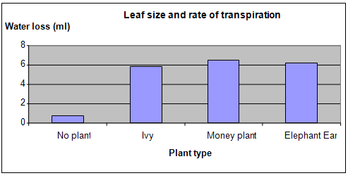 stoma density science project