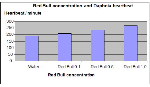 red bull and daphnia science project