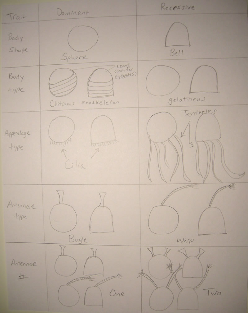 Zoomonsters dominant and recessive genes