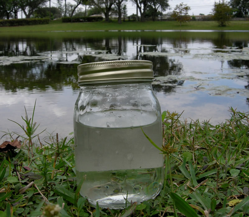 kingdoms in a water drop